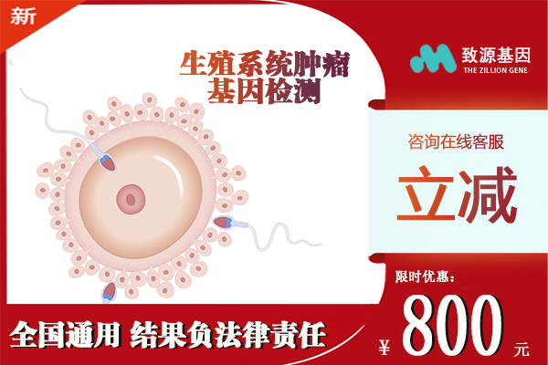 生殖系统肿瘤基因检测